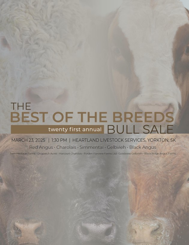 catalogue cover