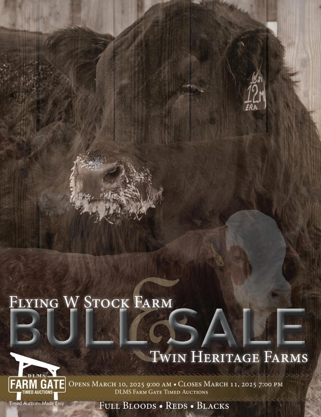 catalogue cover